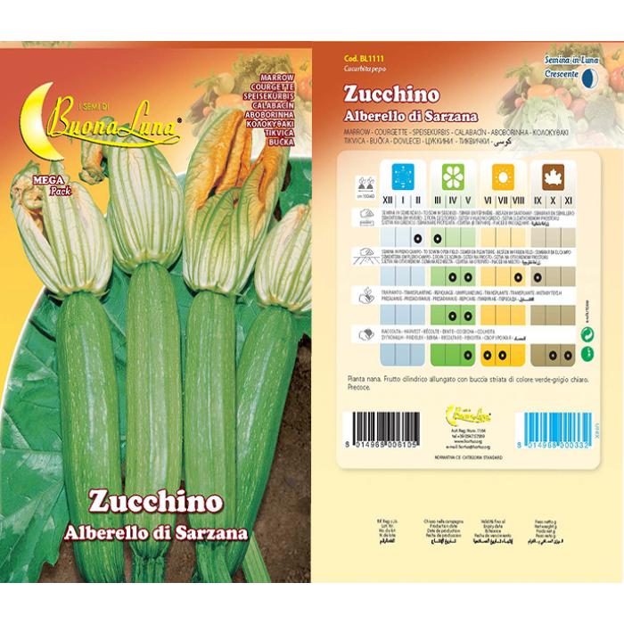 zucchino-albetretto-di-sarzana-1111