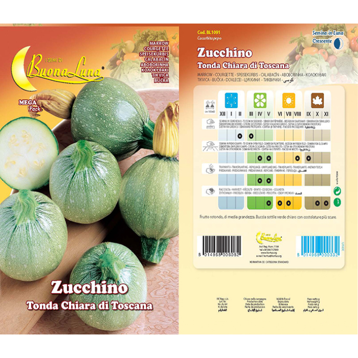zucchino-tondo-chiara-di-toscana