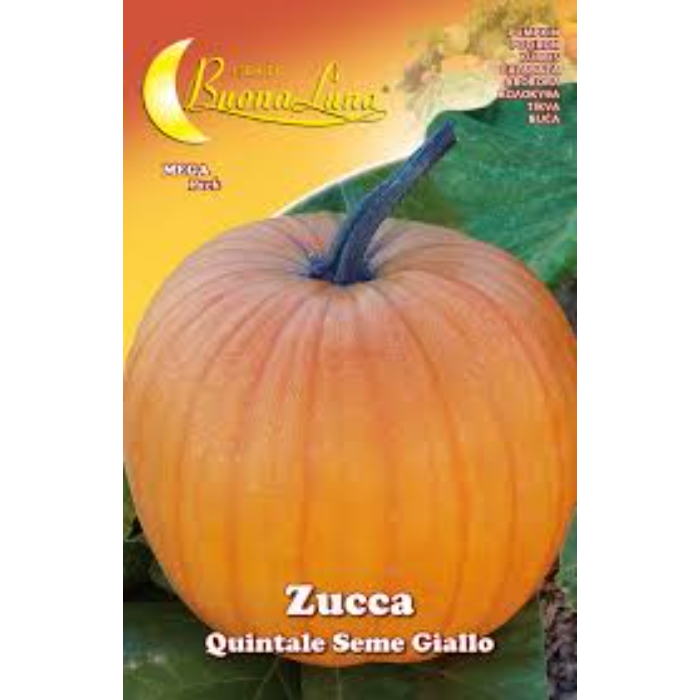 pumpkin-seeds