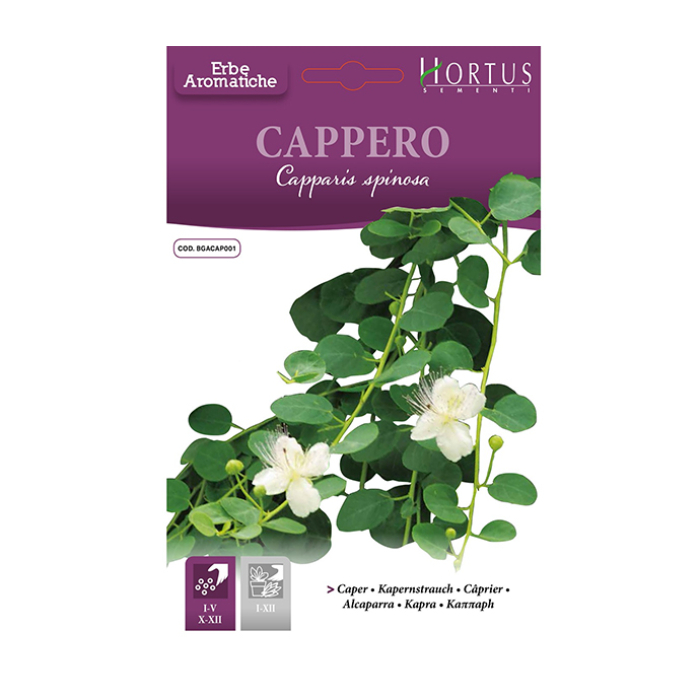 cappero-db