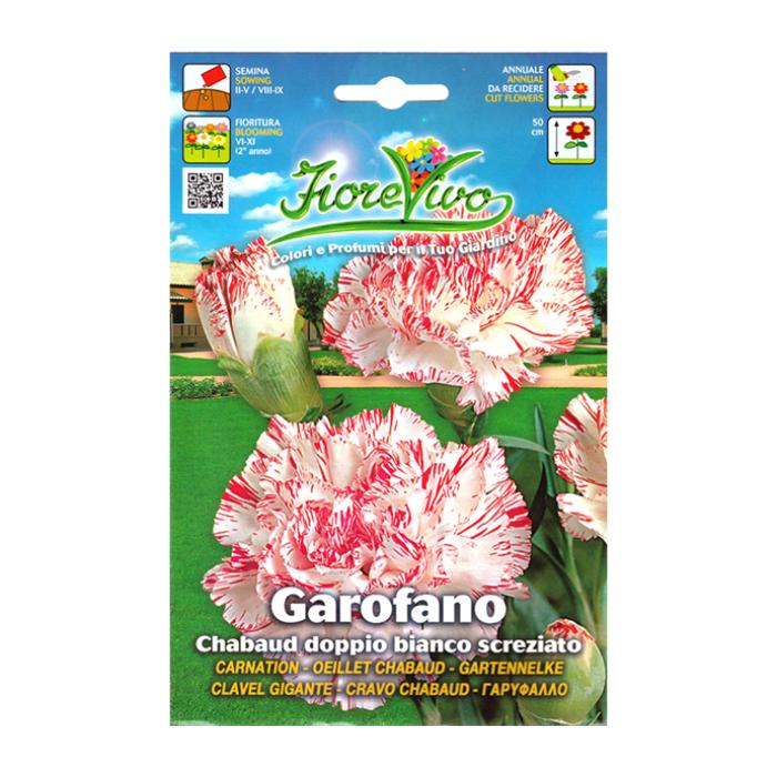 garofano-chab-d-bianco-screz-db