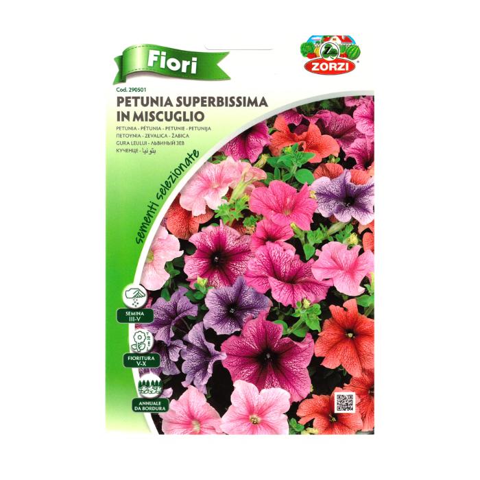 petunia-superb-zorzi