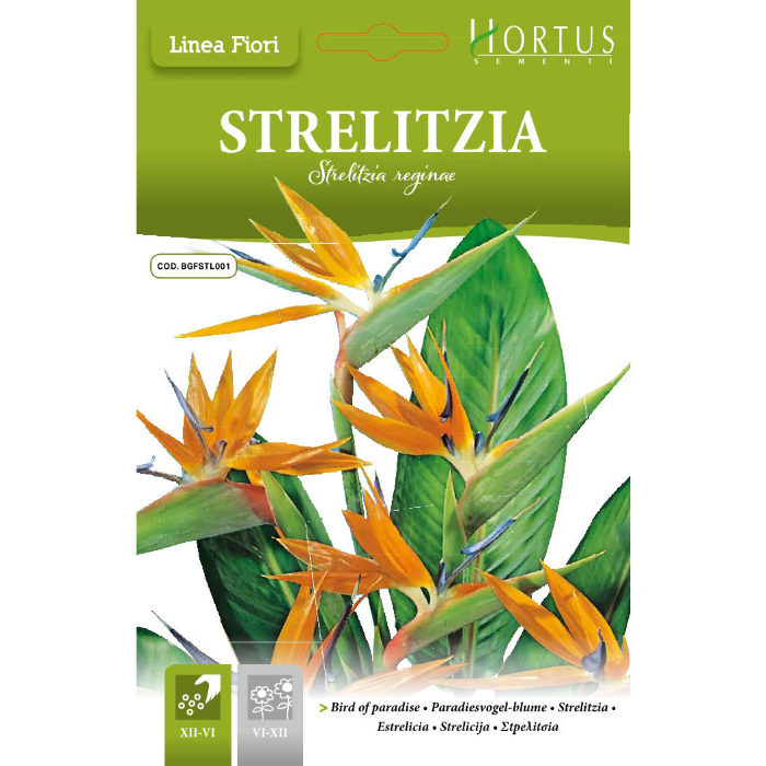 strelitzia-seeds-db
