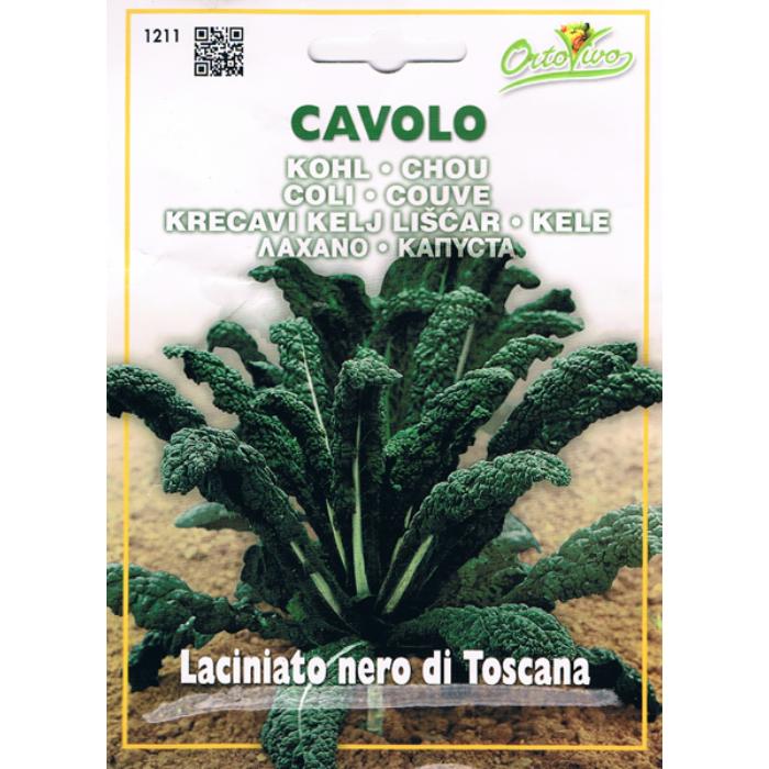 cavolo-laciniato-nero-di-toscana-1211
