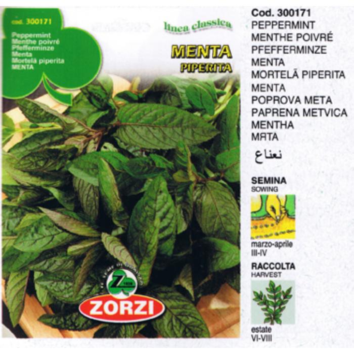 menta-piperita-bts
