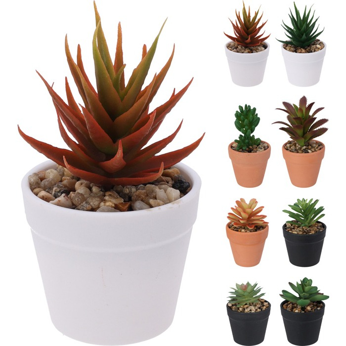 plant-in-pot-8-assorted