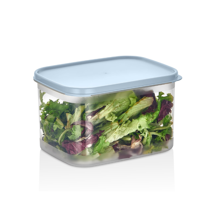 organizers-smart-rectangle-foodsaver-2-9ltr-waterproof-205x158x125mm