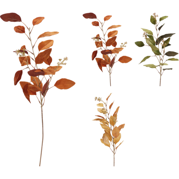 eucalyptus-stem-with-fruit-—-assorted