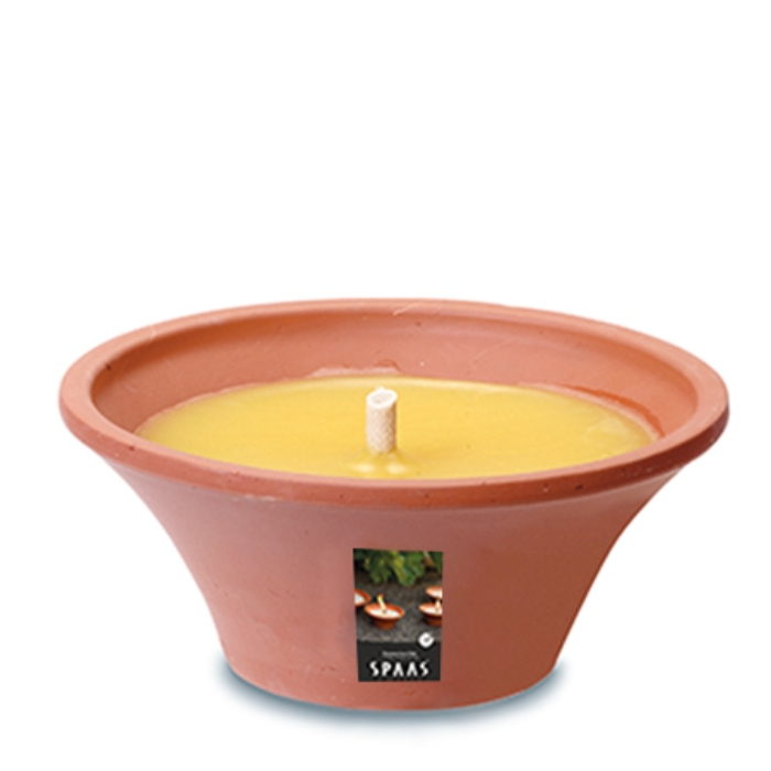 citronella-terracotta-dish-18-cm-spaas-