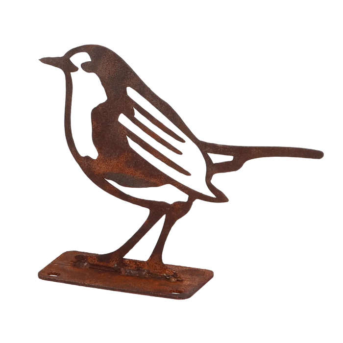 rust-european-robin