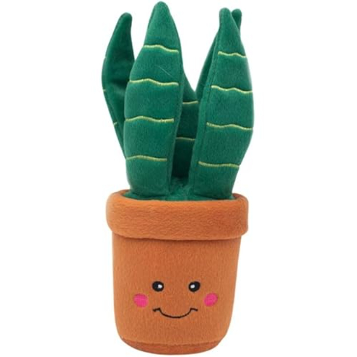 zippypaws-snake-plant